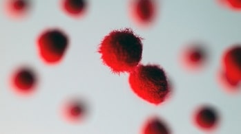 感染症が癌のリスクを高める