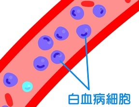 ヒトT細胞白血病ウイルス1型