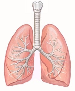 気管支形成術