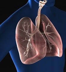 肺がん 組織