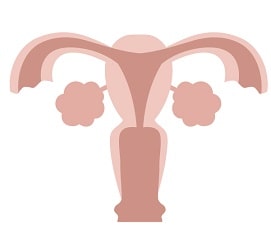 体外受精の卵巣刺激