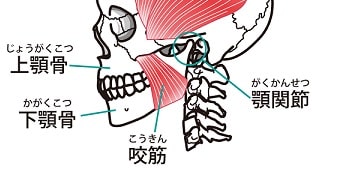寿楽鍼灸整骨院　顎関節症10