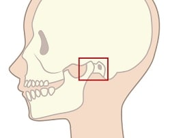 寿楽鍼灸整骨院　顎関節症16